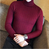 Ceekoo  Korean Slim Solid Color Turtleneck Sweater Mens Winter Long Sleeve Warm Knit Sweater Classic Solid Casual Bottoming Shirt