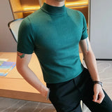 Ceekoo   Brand Pullovers Clothing Men's Summer Leisure Knitted T-shirt/Male Slim Fit Turtleneck Knit Sweaters/Man Tee Shirt Homme